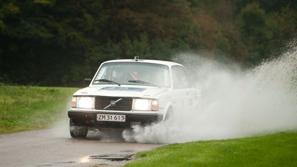 Heino Mejer og Bo Mølgaard forcerer vandpytterne på vej mod DM titlen i Mini Rally
(Foto: rallypics.dk, viggo johansen)